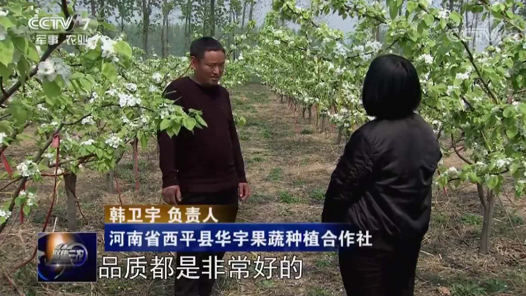 1555548402629468.png image.png