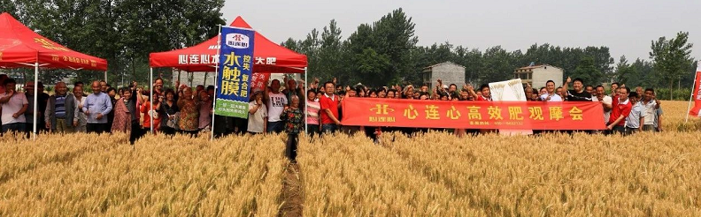 1570497062132464.png image.png