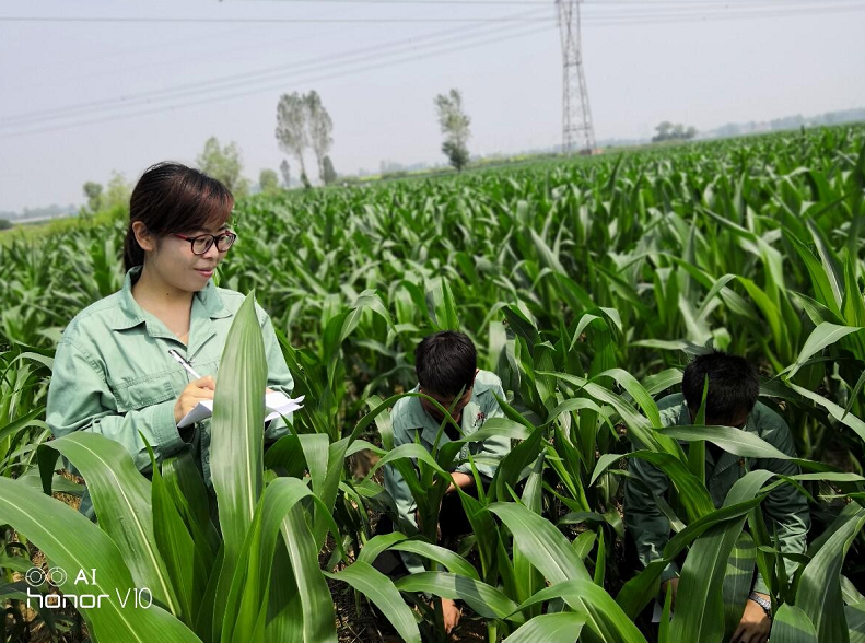 1570497204112528.png image.png