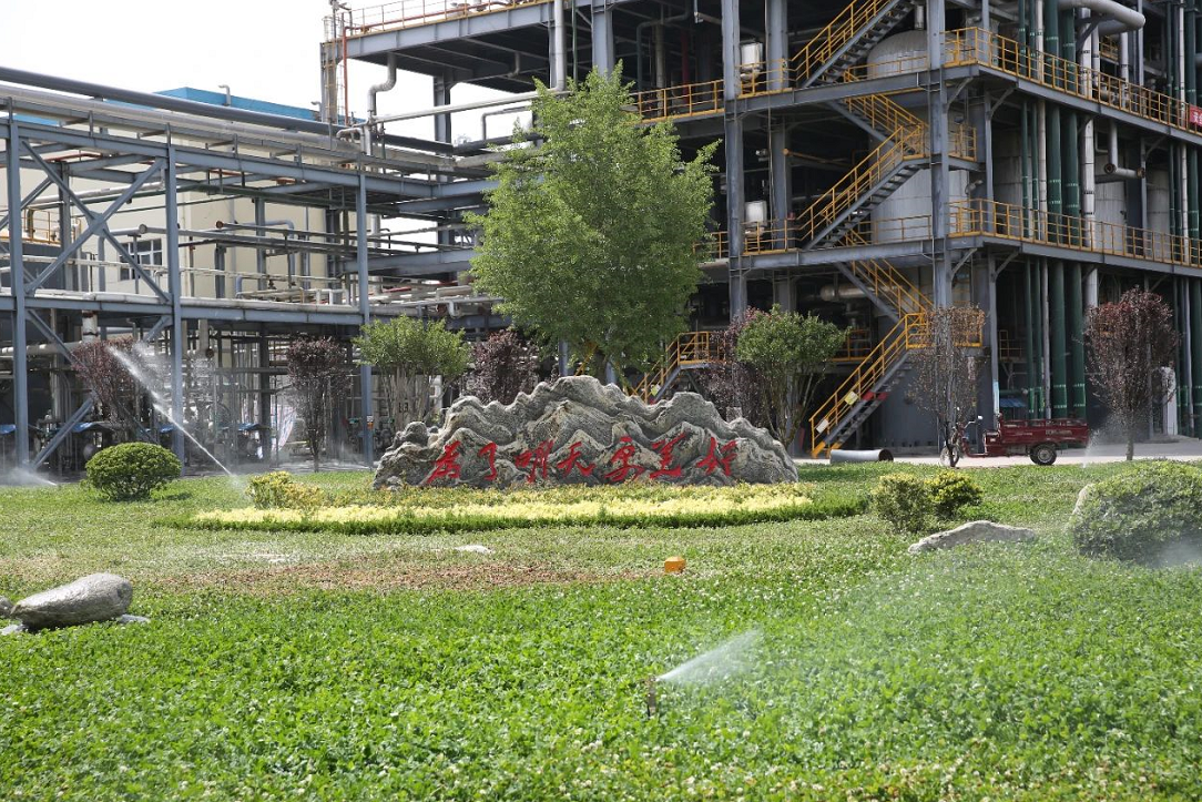 1591429201186891.png image.png