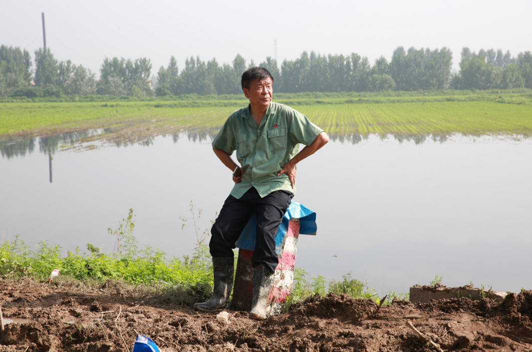 1596071806843566.png image.png