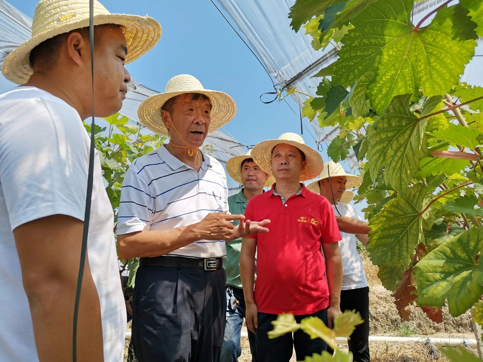 1597976525143489.png image.png