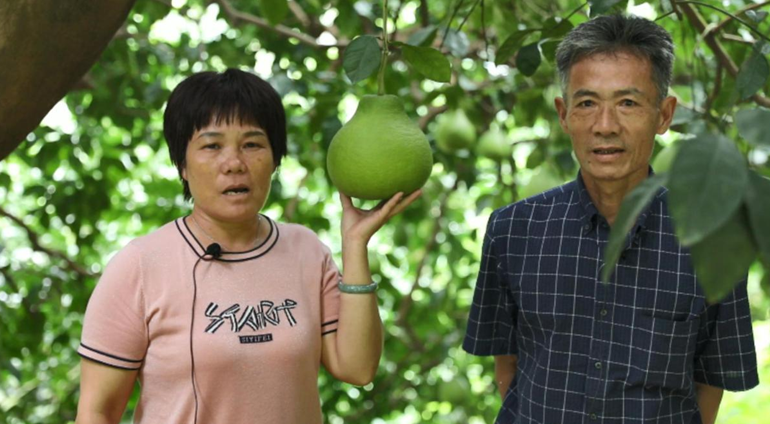 1602835963225395.png image.png