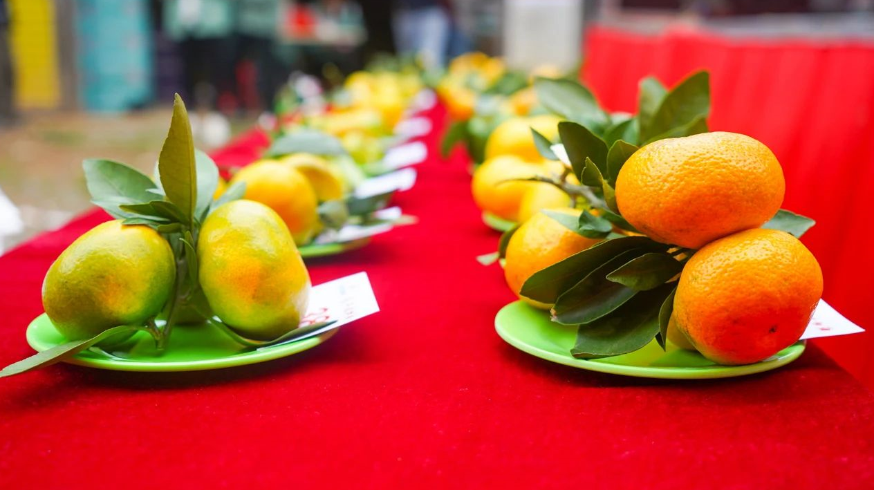 1602837035520911.png image.png