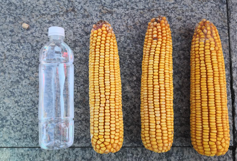 1604731876190387.png image.png