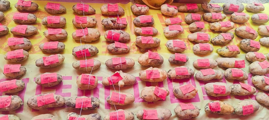 1658817287683589.png image.png