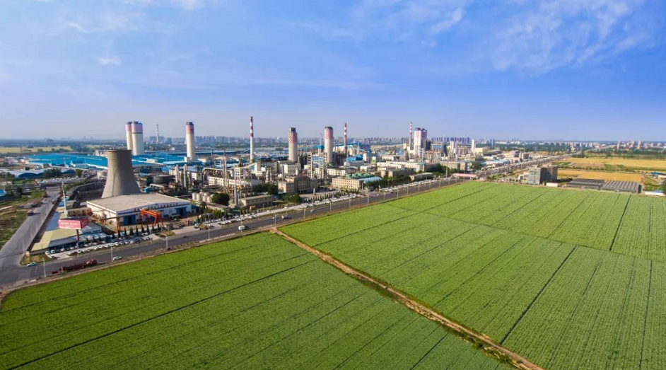 1662596523990967.png image.png