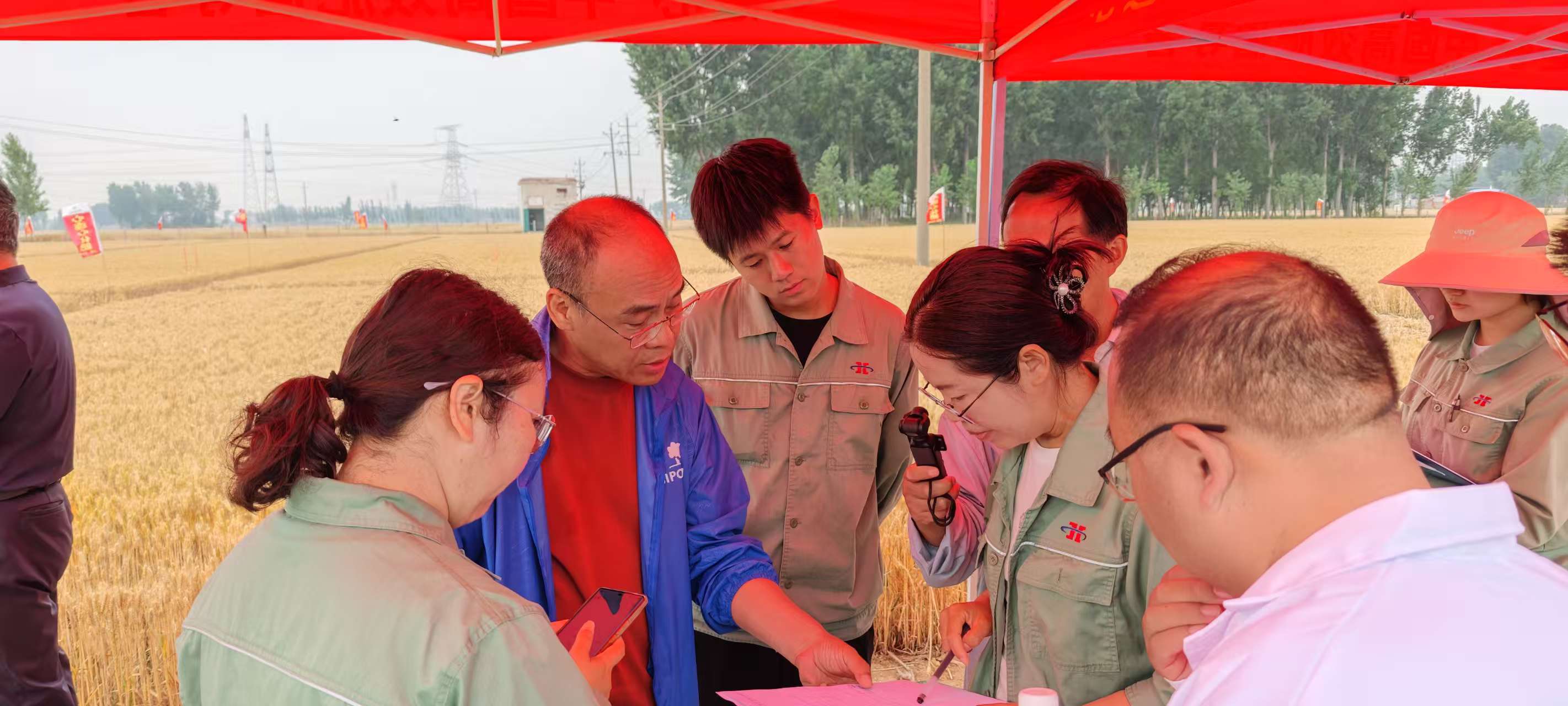 高溫旱情下科技賦能農(nóng)業(yè)！心連心集團(tuán)主持的兩個(gè)“十四五”課題交出亮眼成績(jī)單